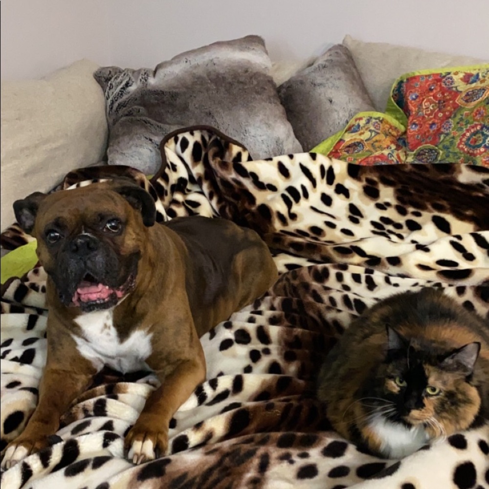 Meet your Posher, Sunny